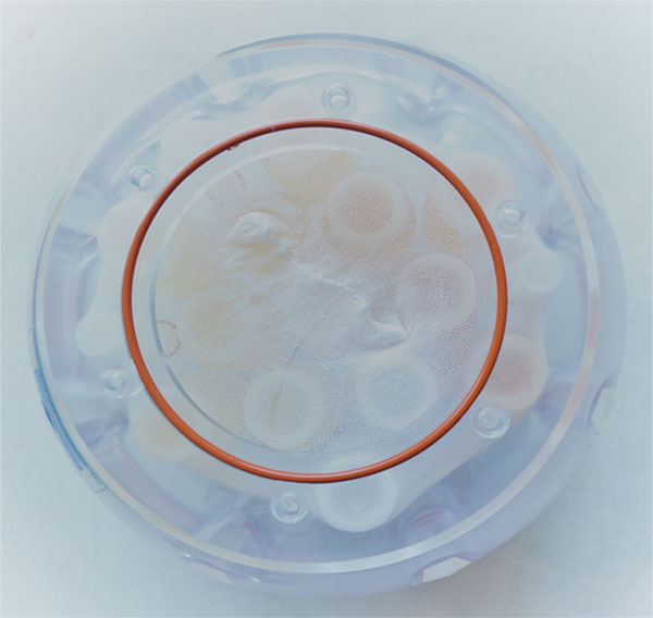 Water_Phantom_top-view