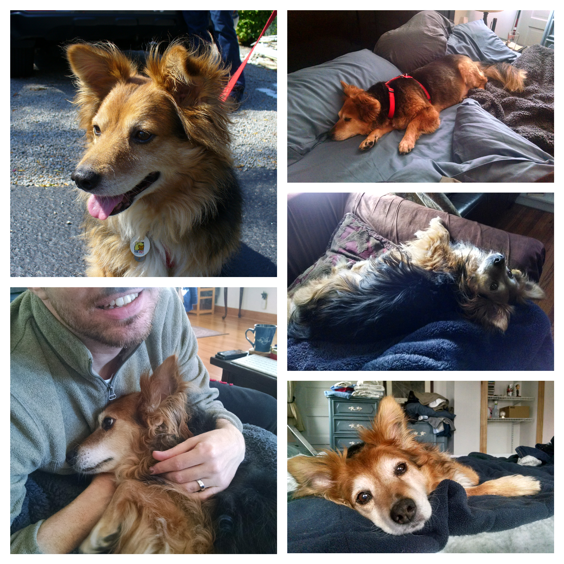 Photo_2017-08-03_04-27-09_PM