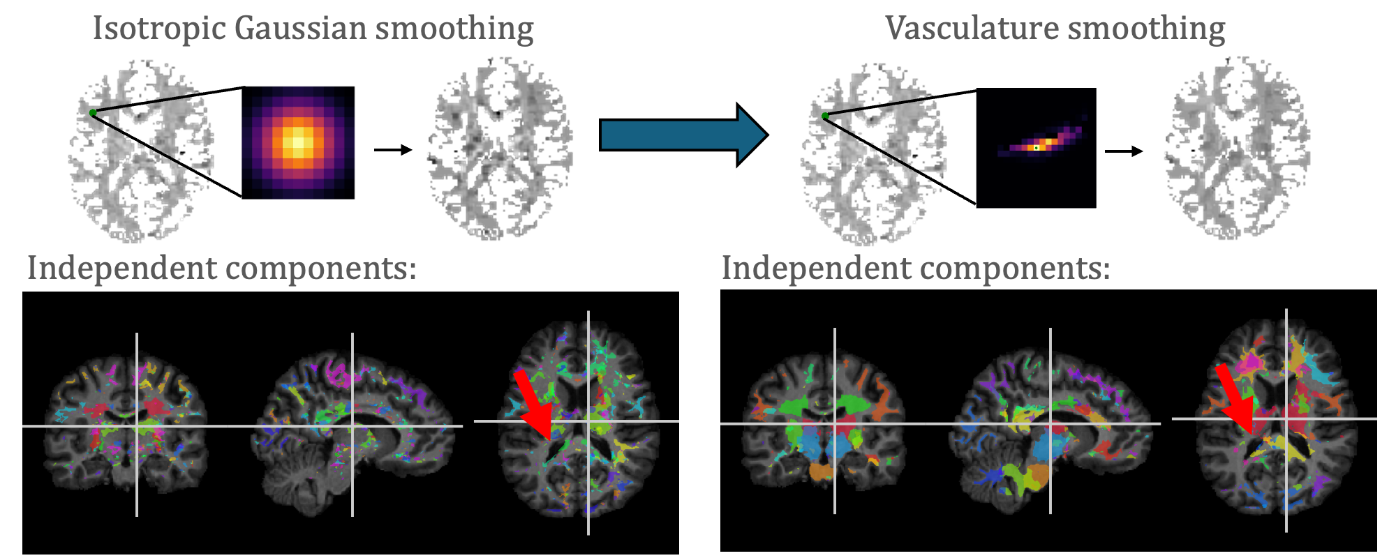 A comparison of isotropic Gaussian smoothing with vasculature smoothing. The independent components from vasculature smoothing are less noisy and more structured.