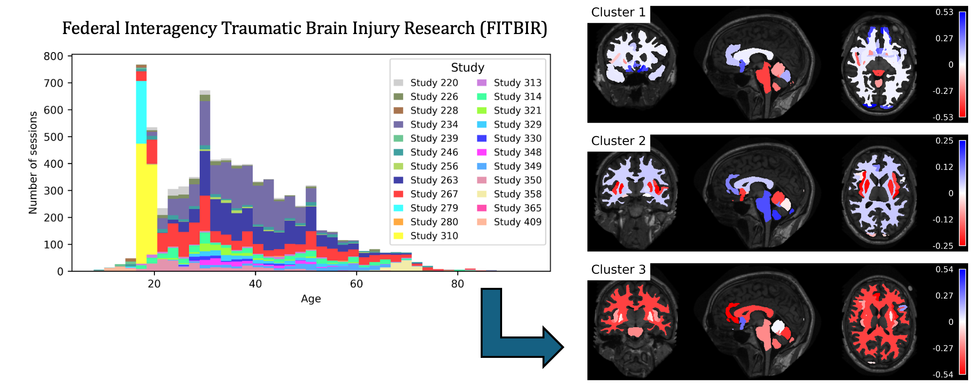 A histogram of the thousands of available sessions across age from the FITBIR repository with an arrow pointing to three phenotypes showing clusters of red and blue changes in brain volume
