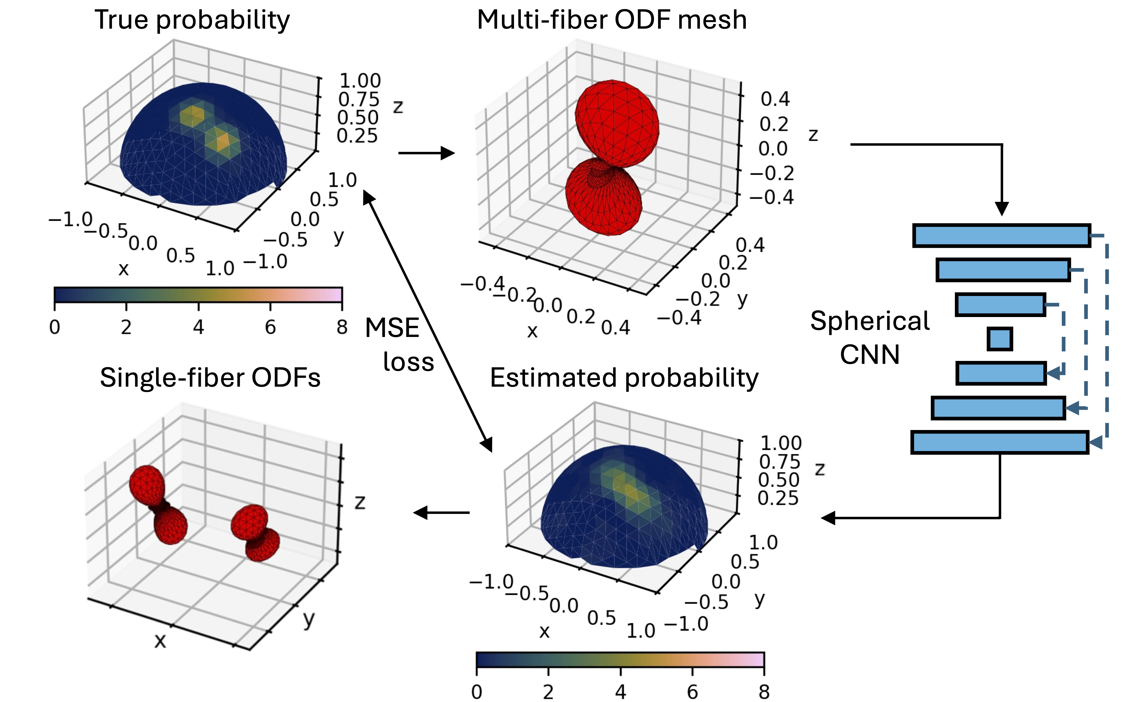 Scientific figure showing the DeepFixel training method