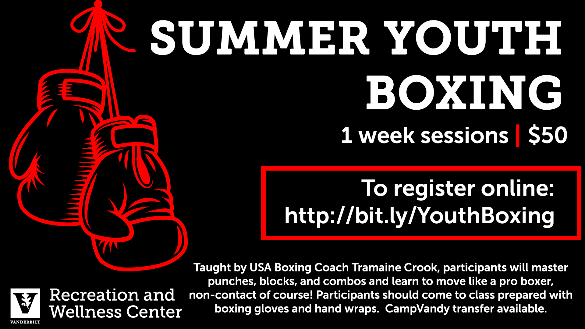 Vanderbilt Summer Youth Boxing Classes
