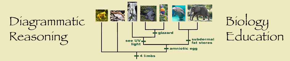 Cognition, Perception, Diagrams