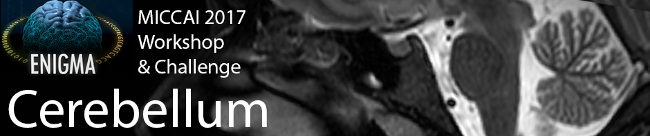 ENIGMA Cerebellum