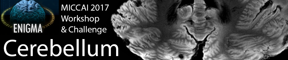 ENIGMA Cerebellum