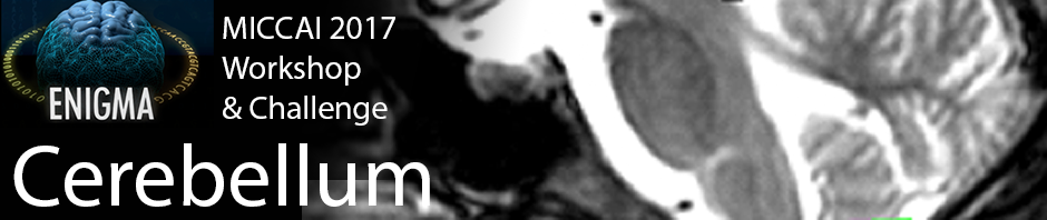 ENIGMA Cerebellum
