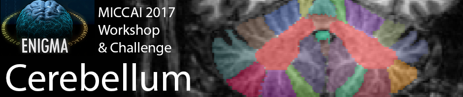 ENIGMA Cerebellum