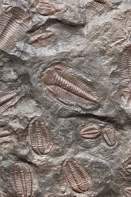 ancient-165001_640