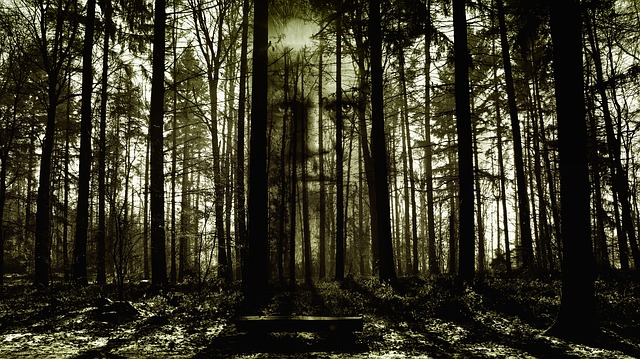 horror-2156302_640