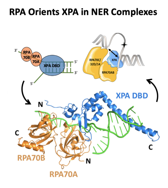 Screen Shot 2021-10-23 at 9.55.45 PM