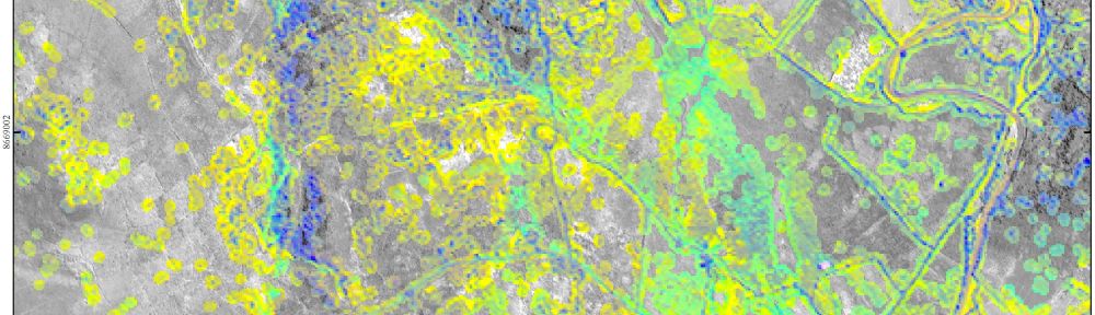 Gabriela Oré Menéndez