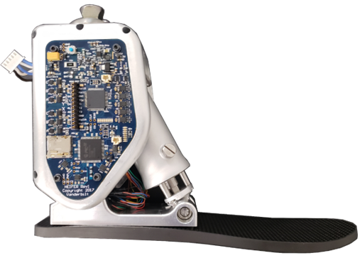 Semi-powered ankle prototype