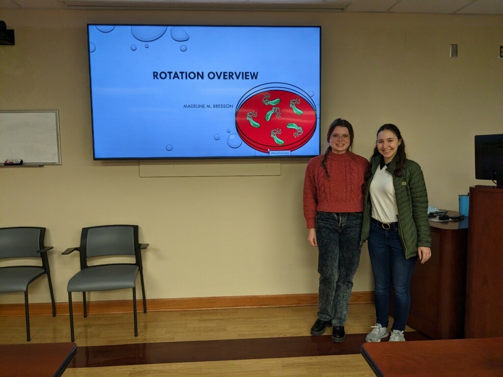 rotation sp2023