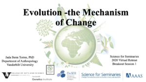 Screen Shot 2020-11-28 at 10.39.26 AM