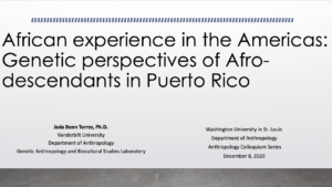 Screen Shot 2020-11-28 at 10.40.14 AM