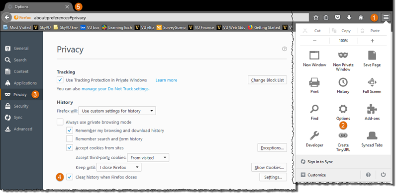 Firefox-ClearHistoryAuto