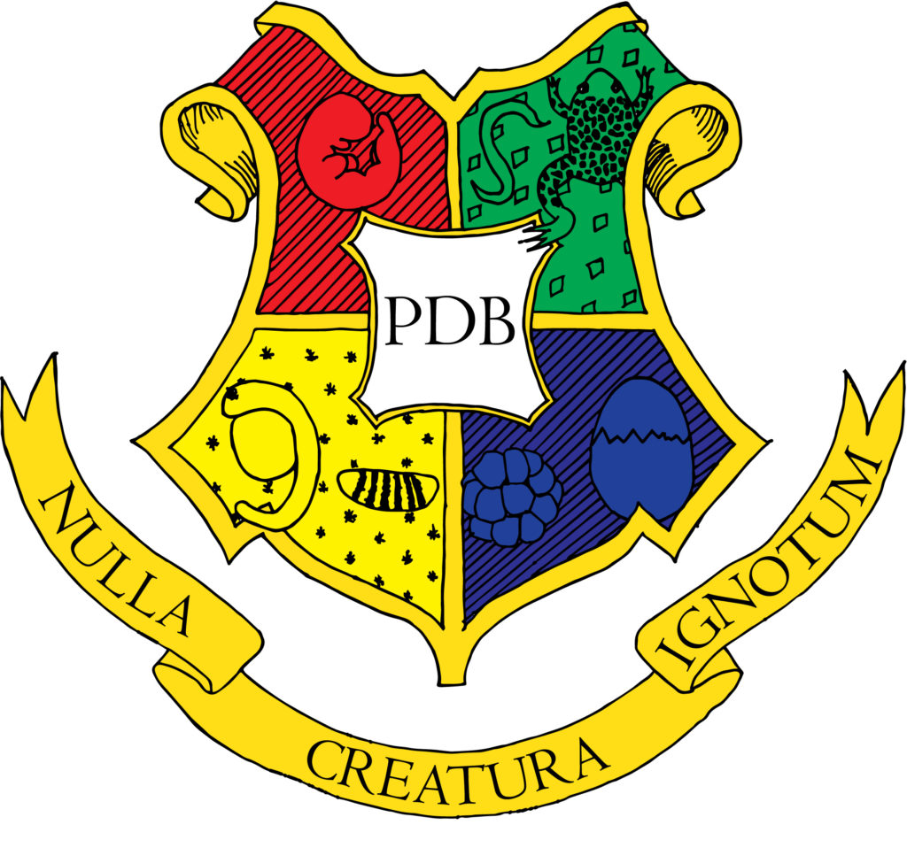 2019 boot camp logo with slogan - colorized