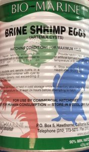 BrineShrimp