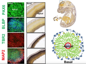 Screen Shot 2019-07-30 at 6.33.44 PM