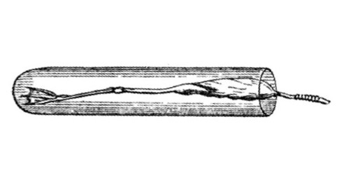 This illustration is of a frog galvanoscope, the first instrument used to detect electrical nerve conduction by the scientist Luigi Galvani in the eighteenth century. Source image: (Armin6 [CC BY-SA 4.0 (https://creativecommons.org/licenses/by-sa/4.0)])