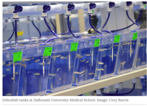 Screen Shot 2023-08-01 at 11.43.05 AM