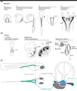 Screen Shot 2023-08-01 at 2.45.23 PM