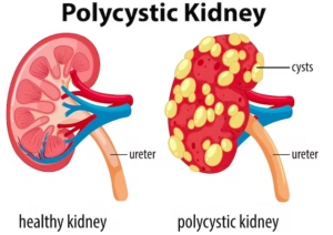 Screen Shot 2023-08-02 at 10.06.17 AM