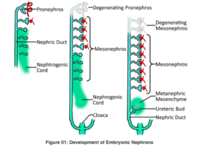 Screen Shot 2023-08-03 at 9.10.02 AM