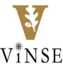 ViNSE logo