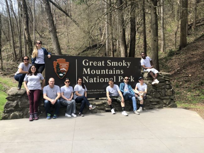 Vanderbilt Humphrey Fellows 2018-19