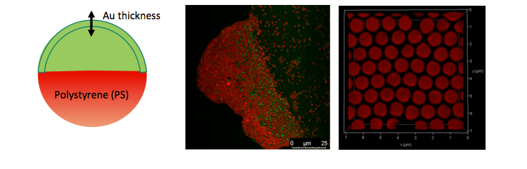 Screen Shot 2018-09-11 at 4.43.21 PM