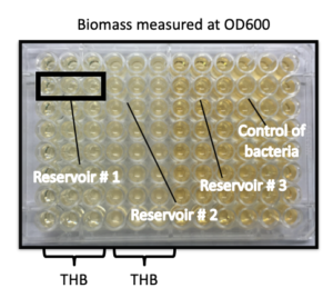 Screen Shot 2019-02-26 at 11.37.09 AM