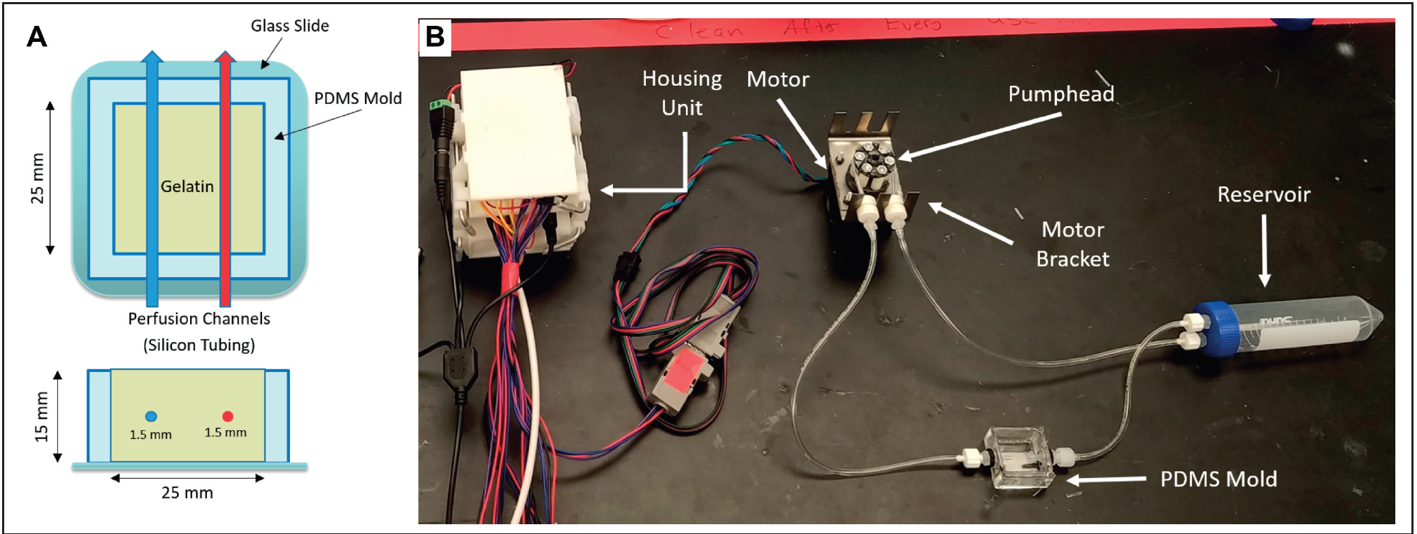 An example of the custom perfusion system