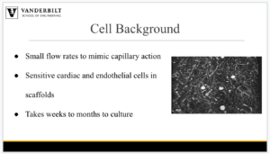 Screen Shot 2019-02-18 at 11.21.18 AM