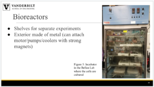 Screen Shot 2019-03-13 at 9.15.05 PM