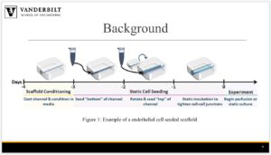 Screen Shot 2019-04-11 at 12.55.06 PM