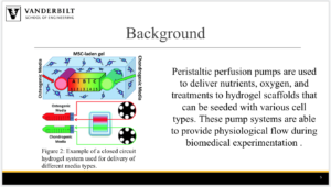 Screen Shot 2019-04-11 at 12.55.11 PM