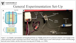 Screen Shot 2019-04-11 at 12.55.32 PM