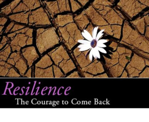 Resilience