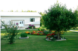 Screen Shot 2019-02-20 at 3.28.47 PM