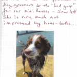 Screen Shot 2020-10-19 at 4.20.22 PM