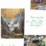 Screen Shot 2020-10-19 at 4.20.38 PM