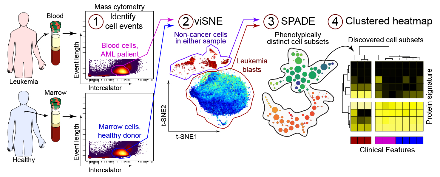 Diggins et al., Methods 2015 graphical abstract