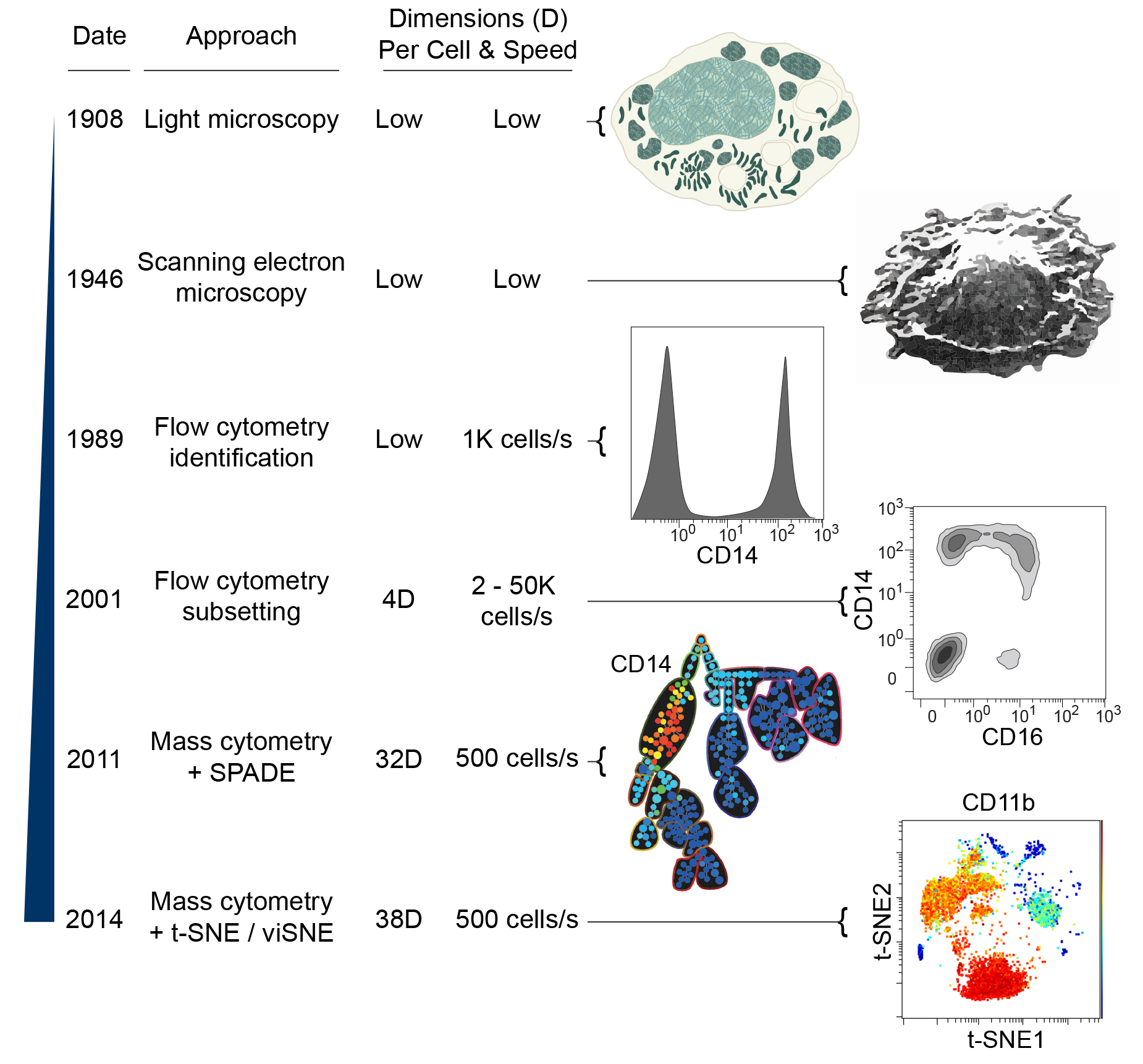 Roussel et al - 2016 Handbook of Human Innate Immunity - Dissecting Complex Cellular Systems with High Dimensional Single Cell Mass Cytometry