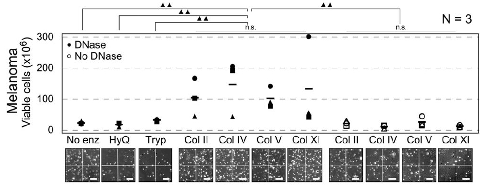 Leelatian and Doxie et al., Cytometry B 2016