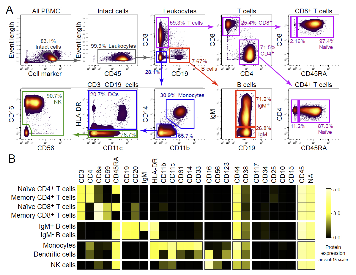 Leelatian et al., Methods Molecular Biology 2015