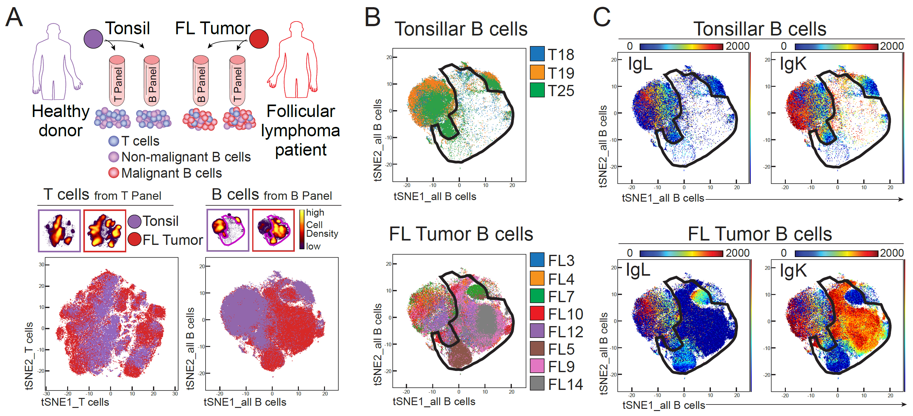 Wogsland et al., Cytometry B 2017