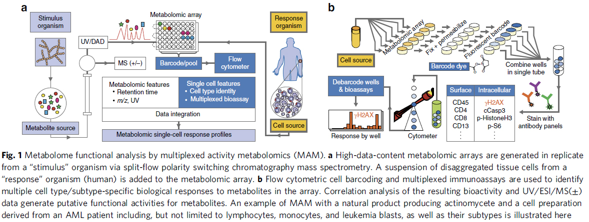 2018 Earl and Ferrell et al. Figure 1
