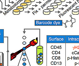 The Power of Multiplexed Activity Metabolomics