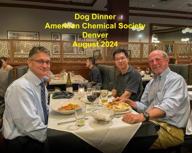 Dog Dinner ACS